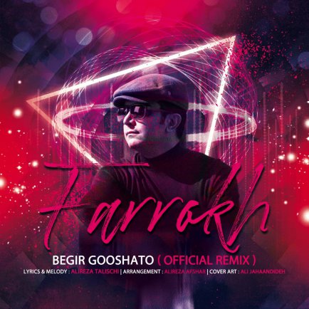 Begir Gooshato - Official Remix