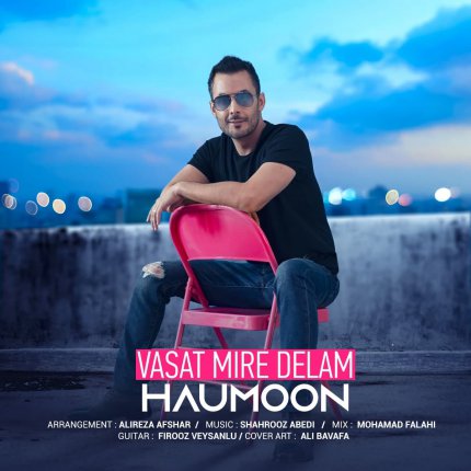 Vasat Mire Delam