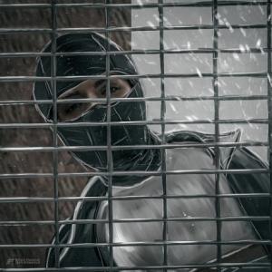 Darim Miyaim