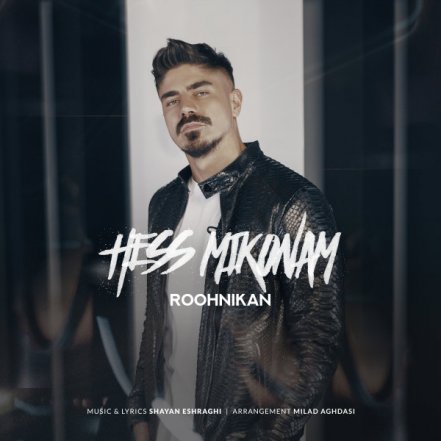 Hess Mikonam