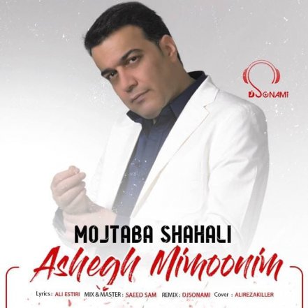 Ashegh Mimoonim - Remix