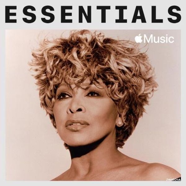 Tina Turner Essentials