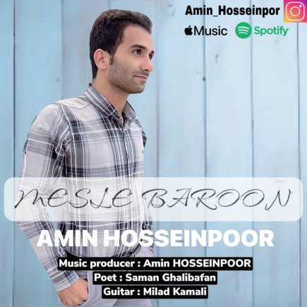 Mesle Baroon