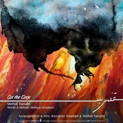 Cut The Cage - Ghafas Bas