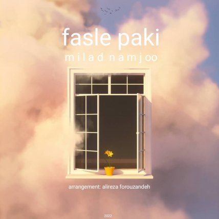 Fasle Paki