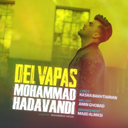 Delvapas
