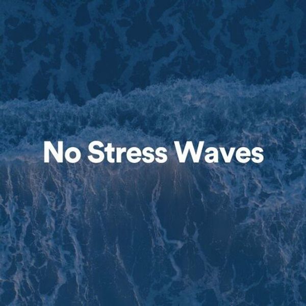 No Stress Waves