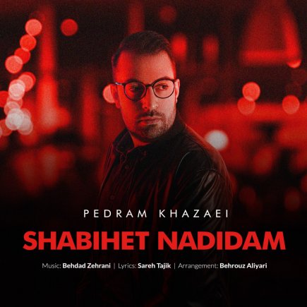 Shabihet Nadidam