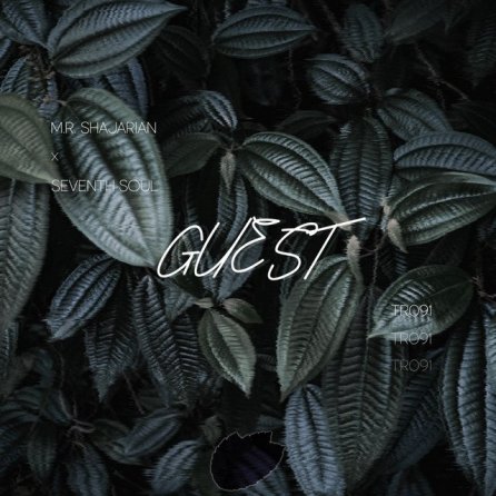 Guest