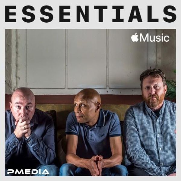The Boo Radleys Essentials