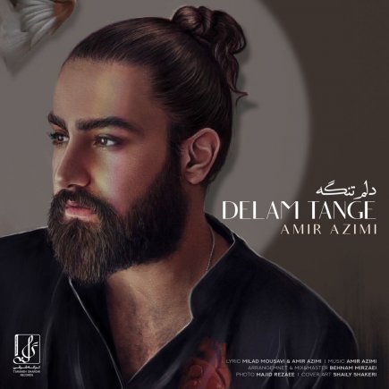 Delam Tange