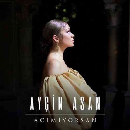 Acimiyorsan