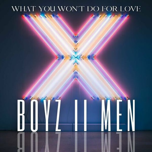 What You Wont Do For Love