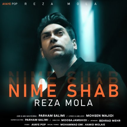 Nime Shab