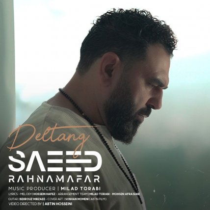 Deltang