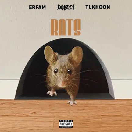 Rats