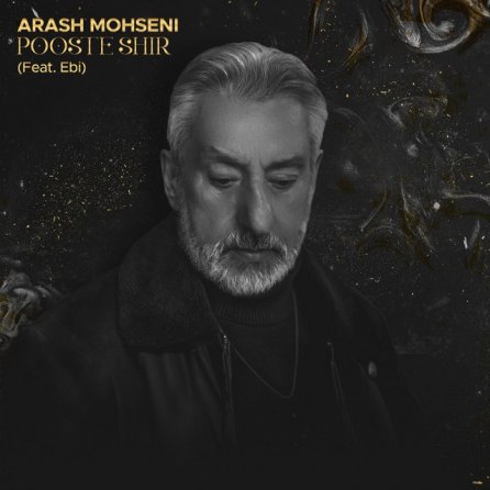 Pooste Shir - Arash Mohseni Remix
