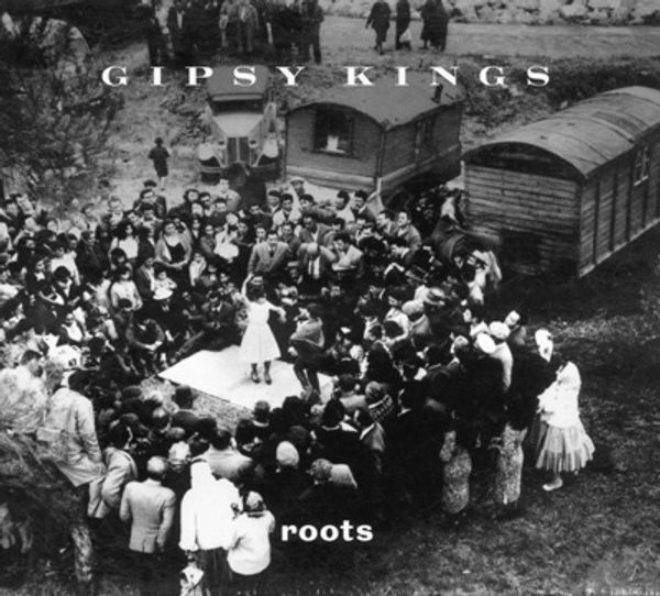 Roots