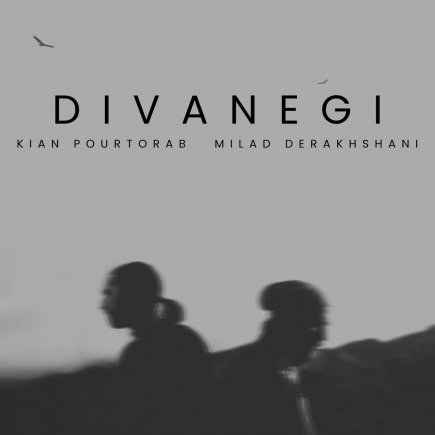 Divanegi