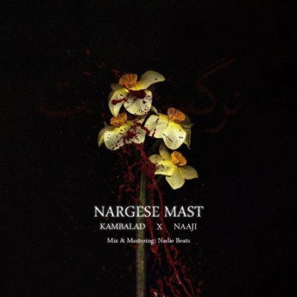 Nargese Mast