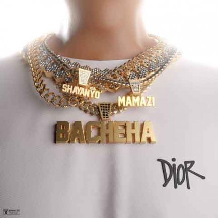 Bacheha