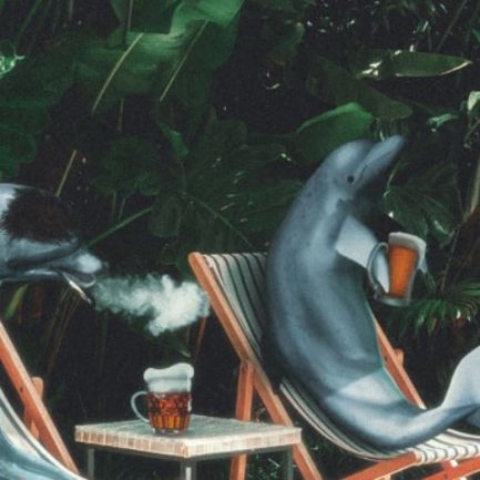 Dolphin