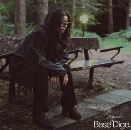 Base Dige