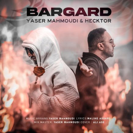 Bargard