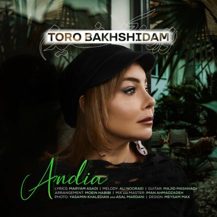 Toro Bakhshidam