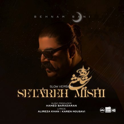 Setareh Mishi - Slow Version