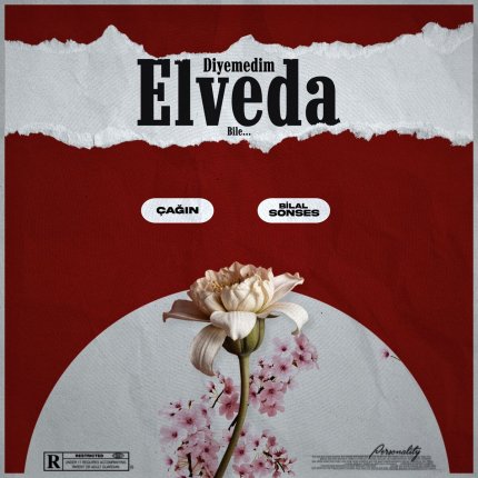 Diyemedim Elveda