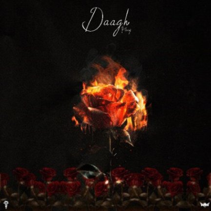 Daagh