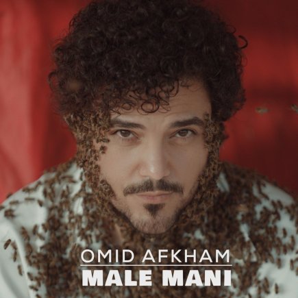 Male Mani