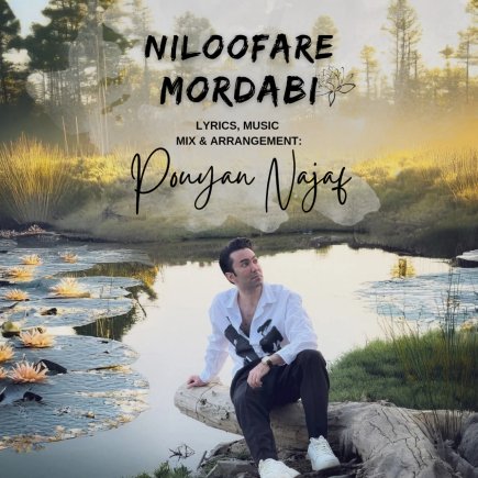 Nilofar Mordabi