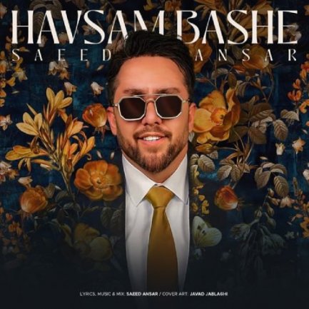 Havasam Bashe