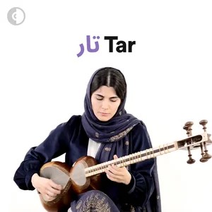 Persian Tar Collection